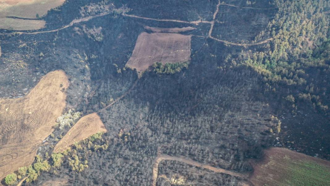 Sakarya'da başlayan yangın kontrolden çıktı: Bilecik'in ormanları siyaha büründü 4